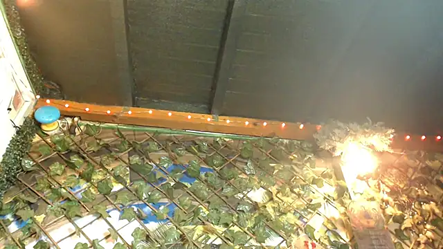 Snapshot of Bigboobs6930 chatting on 24, 1, 2025 Bigboobs6930 online show from 24, 1, 2025