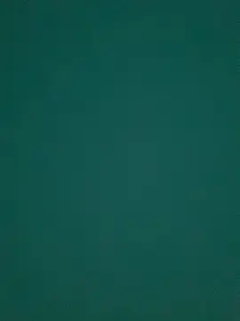 Snapshot of Ruby_bear chatting on 8, 3, 2025 Ruby bear online show from 8, 3, 2025