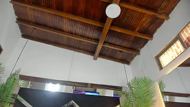 emily-fox online show from 26, 3, 2026