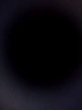 Snapshot of Carlabrasileira chatting on 9, 11, 2025 Carlabrasileira online show from 9, 11, 2025