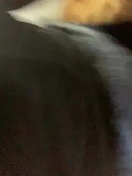 Snapshot of slimcateee chatting on 2, 3, 2025 slimcateee online show from 2, 3, 2025