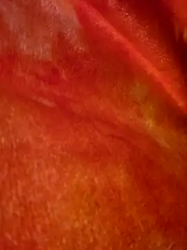 SmokeShow686 online show from 5, 3, 2025