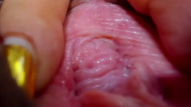 Snapshot of tatiana_big_ass_boobs chatting on 26, 2, 2025 tatiana big ass boobs online show from 26, 2, 2025