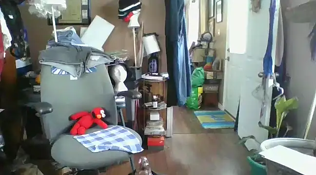 Daremeknot online show from 5, 12, 2024