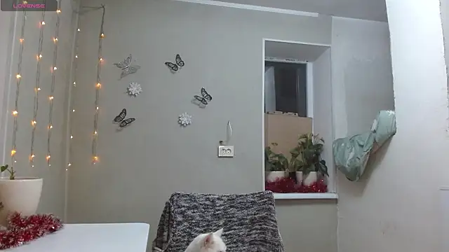 RosaJil online show from 6, 12, 2024