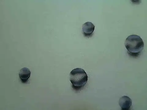 Jillian Pattie online show from 7, 1, 2025