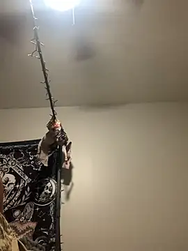 Snapshot of KittyLoroi chatting on 8, 11, 2025 KittyLoroi online show from 8, 11, 2025