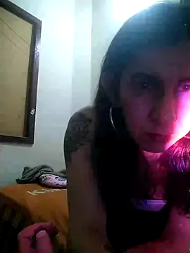 Cameron puppy online show from 17, 2, 2026