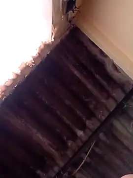 Snapshot of dantero chatting on 13, 1, 2025 dantero online show from 13, 1, 2025