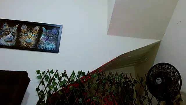 lady scarlettt online show from 23, 2, 2025