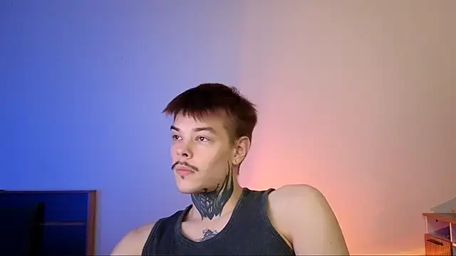 Snapshot of DENIS_HERE chatting on 26, 11, 2025 DENIS HERE online show from 26, 11, 2025