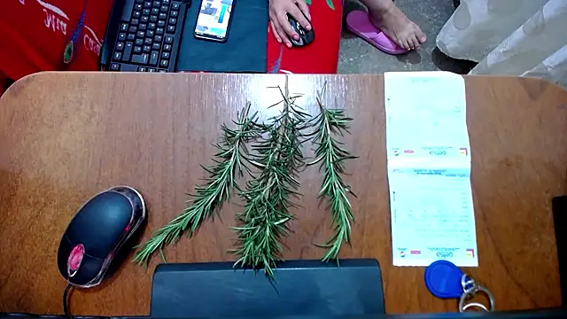 Malaya88 online show from 16, 2, 2025