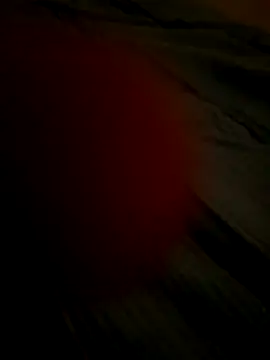 Snapshot of Ovidiu_Alex94 chatting on 21, 12, 2025 Ovidiu Alex94 online show from 21, 12, 2025