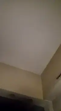 gala2 online show from 19, 1, 2025