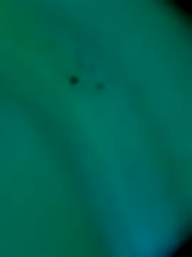 sm4lld1ck online show from 31, 10, 2025