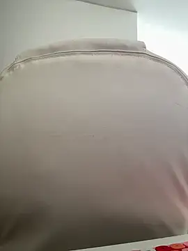 Snapshot of pamell_col chatting on 2, 11, 2025 pamell col online show from 2, 11, 2025