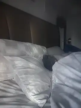 CeceilaMoon online show from 21, 4, 2026