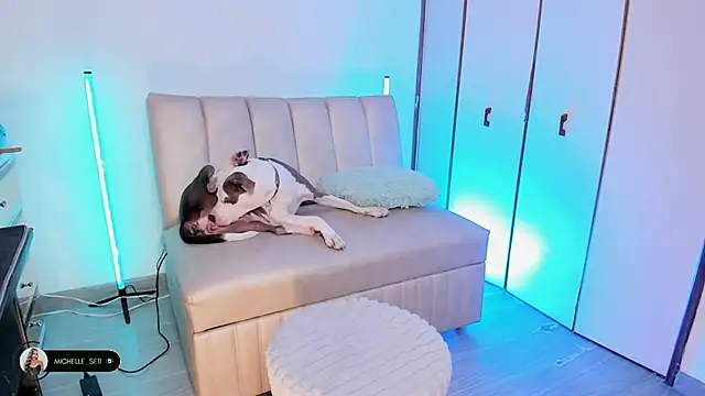 Michelle se online show from 15, 4, 2026