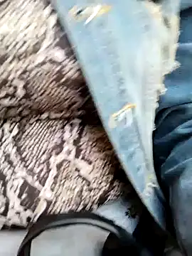 Emily Wane online show from 7, 1, 2025