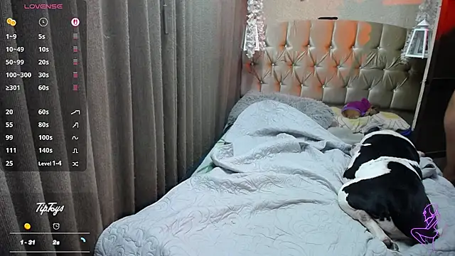 Dreams sophi online show from 16, 7, 2026