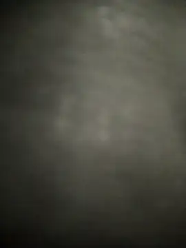 Snapshot of FantasticWonders9 chatting on 1, 4, 2026 FantasticWonders9 online show from 1, 4, 2026