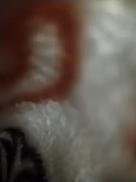 Snapshot of FantasticWonders9 chatting on 12, 4, 2026 FantasticWonders9 online show from 12, 4, 2026