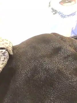 ChantalXOrchid online show from 23, 1, 2025