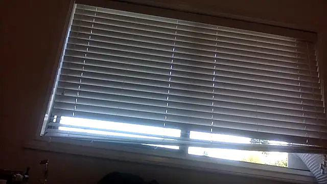 Snapshot of lilboygonewild chatting on 8, 9, 2025 lilboygonewild online show from 8, 9, 2025