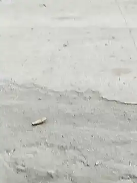 Snapshot of Monster_Bigdick chatting on 7, 12, 2024 Monster Bigdick online show from 7, 12, 2024