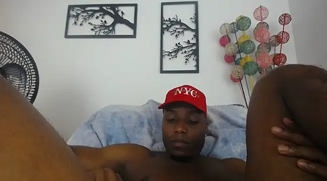 bigcock latin1 online show from 8, 2, 2025