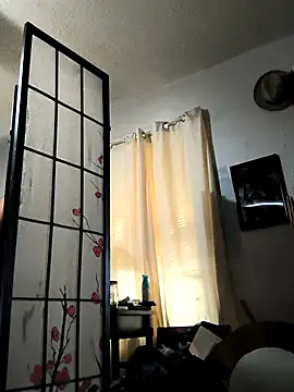 Snapshot of TexaSMESS_37 chatting on 3, 11, 2025 TexaSMESS 37 online show from 3, 11, 2025