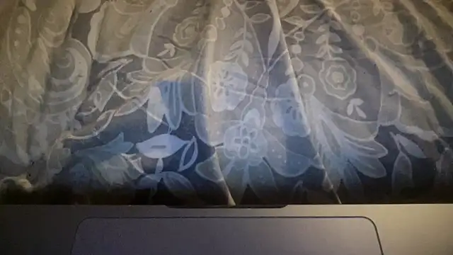 Dogz n daugthers online show from 21, 3, 2026