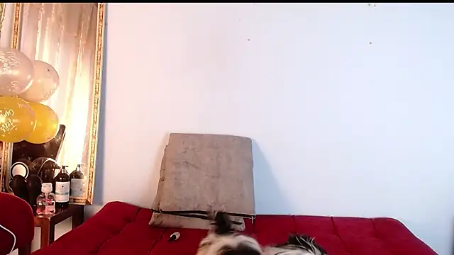 Tamararios online show from 27, 11, 2025