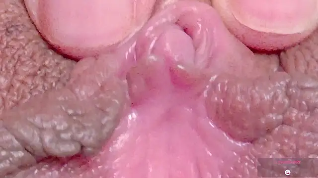 Alu ryu online show from 19, 3, 2026