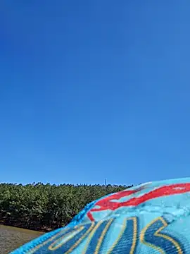 Snapshot of Dixiefaye_Pika chatting on 18, 3, 2025 Dixiefaye Pika online show from 18, 3, 2025