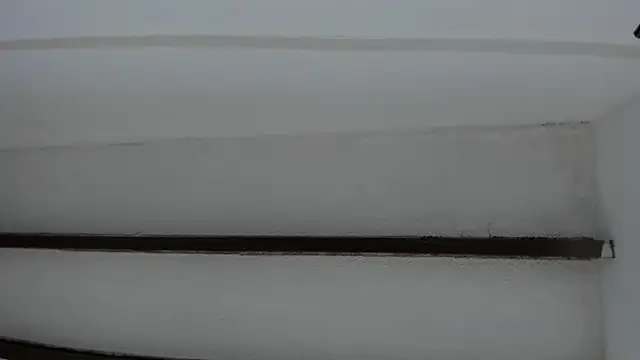 Oriana Guzman online show from 20, 1, 2025