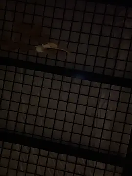 Snapshot of SexyB214 chatting on 14, 12, 2024 SexyB214 online show from 14, 12, 2024