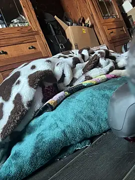 Snapshot of SexyB214 chatting on 7, 3, 2025 SexyB214 online show from 7, 3, 2025