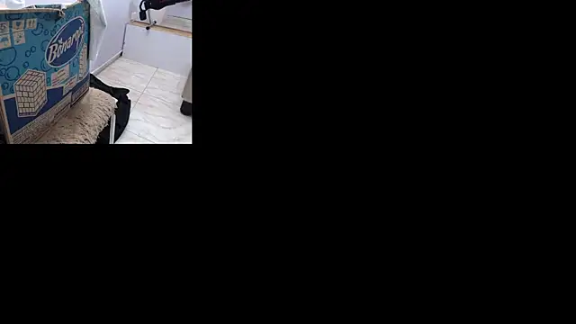 Snapshot of BrianaHazel chatting on 9, 9, 2025 BrianaHazel online show from 9, 9, 2025