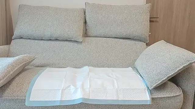 Snapshot of Ema_japanese chatting on 20, 11, 2025 Ema japanese online show from 20, 11, 2025