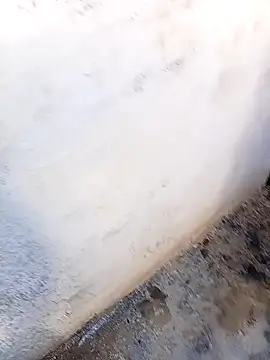 rau 4455 online show from 5, 11, 2025