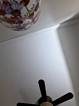 Snapshot of Zander823 chatting on 3, 2, 2026 Zander823 online show from 3, 2, 2026