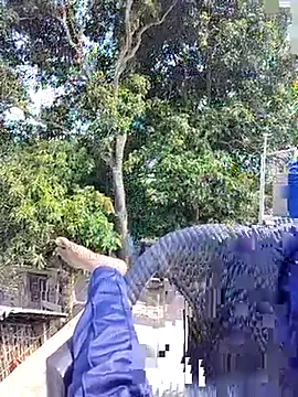 ErRakesh1 online show from 10, 11, 2025