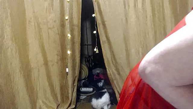  Estelitta 5 online show from 17, 1, 2025