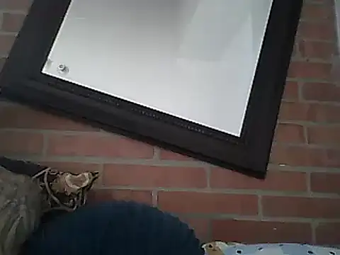 Skater29xx2 online show from 15, 3, 2025