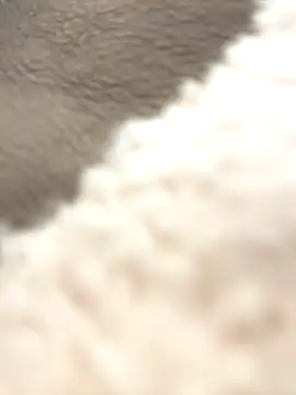 Snapshot of NewLale chatting on 12, 10, 2025 NewLale online show from 12, 10, 2025