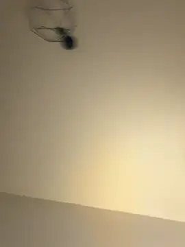 Snapshot of Guitccch chatting on 17, 1, 2026 Guitccch online show from 17, 1, 2026