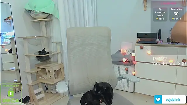 Snapshot of littlemiilk chatting on 13, 1, 2026 littlemiilk online show from 13, 1, 2026