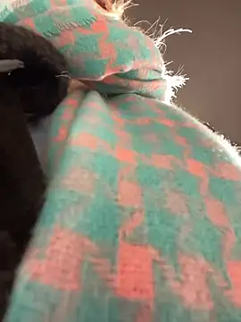 Snapshot of MerlinDave chatting on 6, 1, 2025 MerlinDave online show from 6, 1, 2025