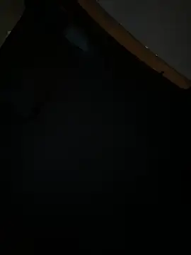 Snapshot of MerlinDave chatting on 11, 1, 2025 MerlinDave online show from 11, 1, 2025